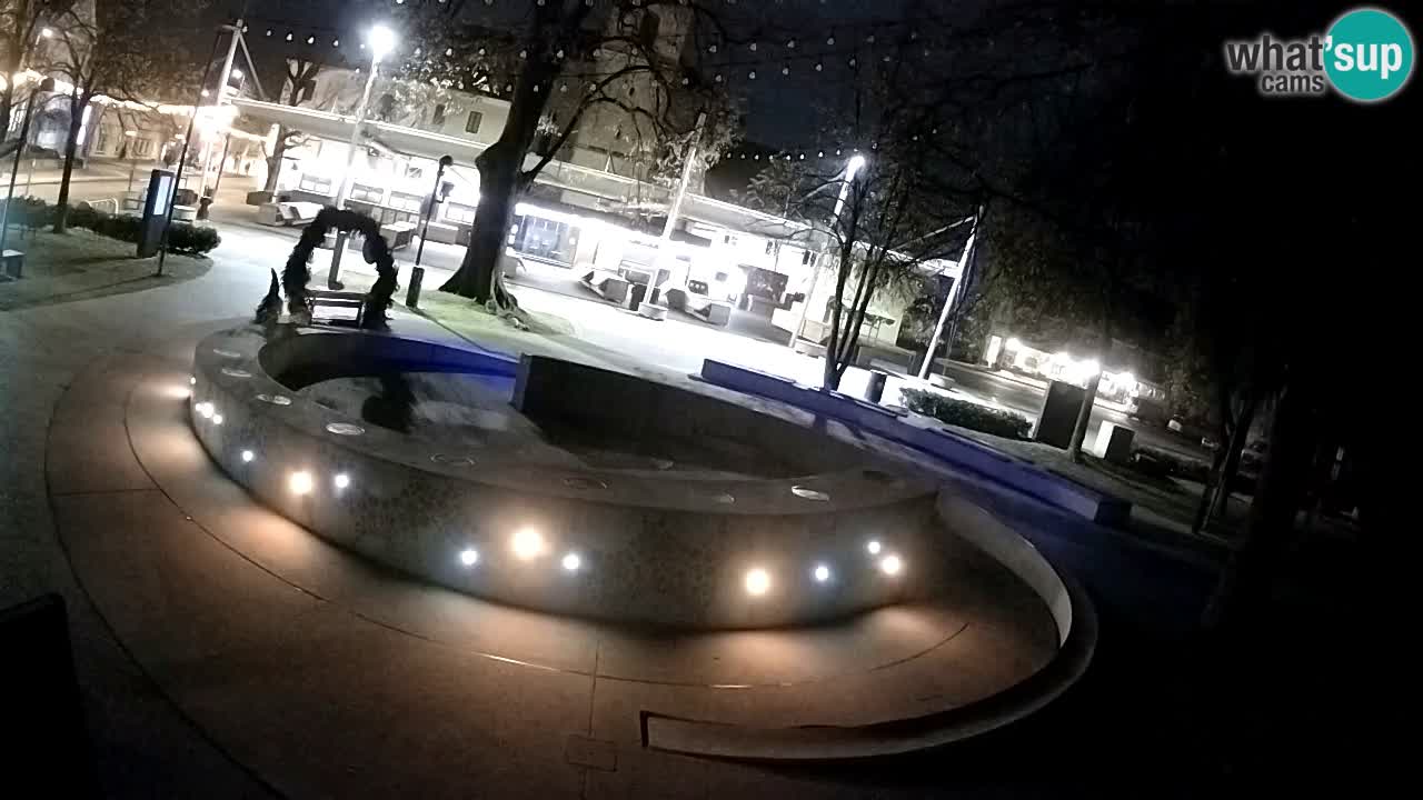 Fontana di birra Webcam – Oro verde – Žalec
