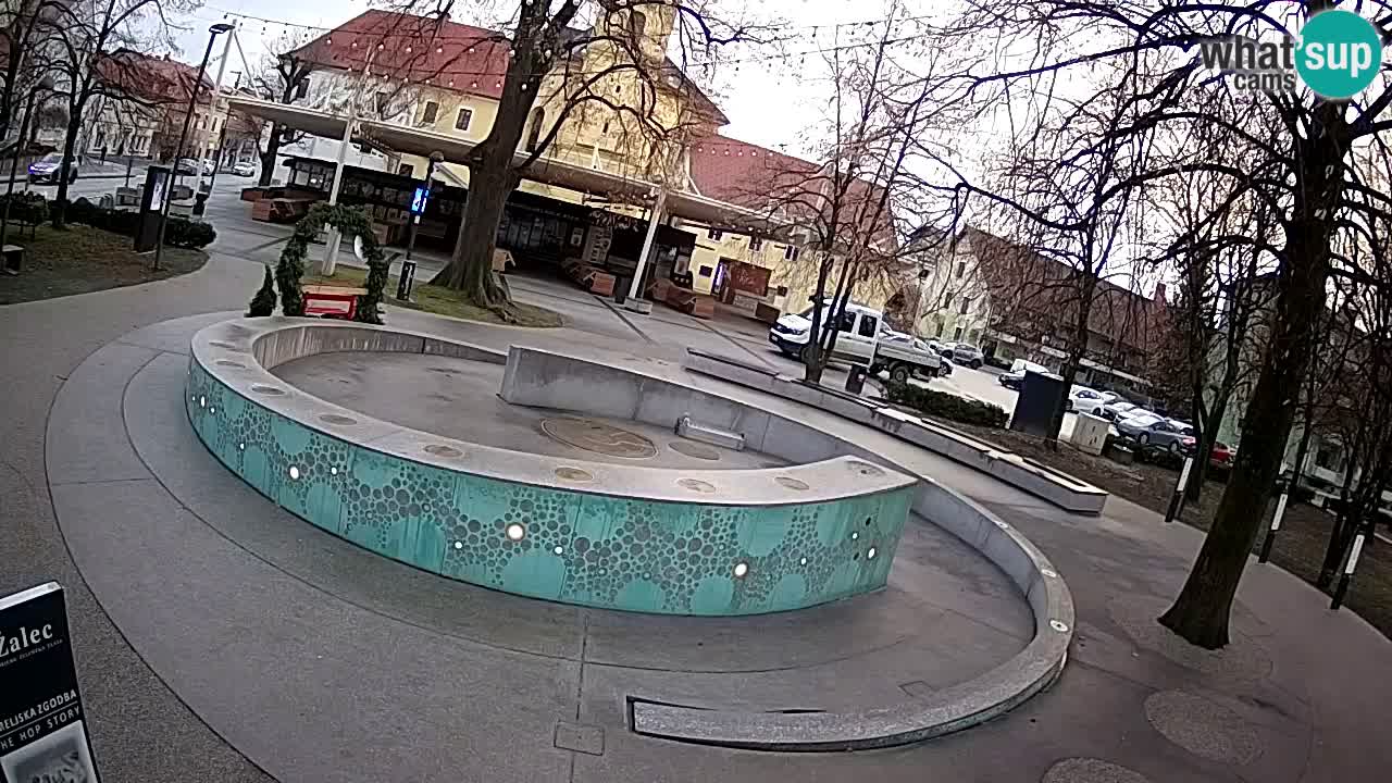 Fontana di birra Webcam – Oro verde – Žalec