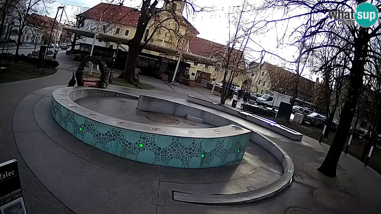 Camera en vivo Fuente de cerveza – Oro verde – Žalec