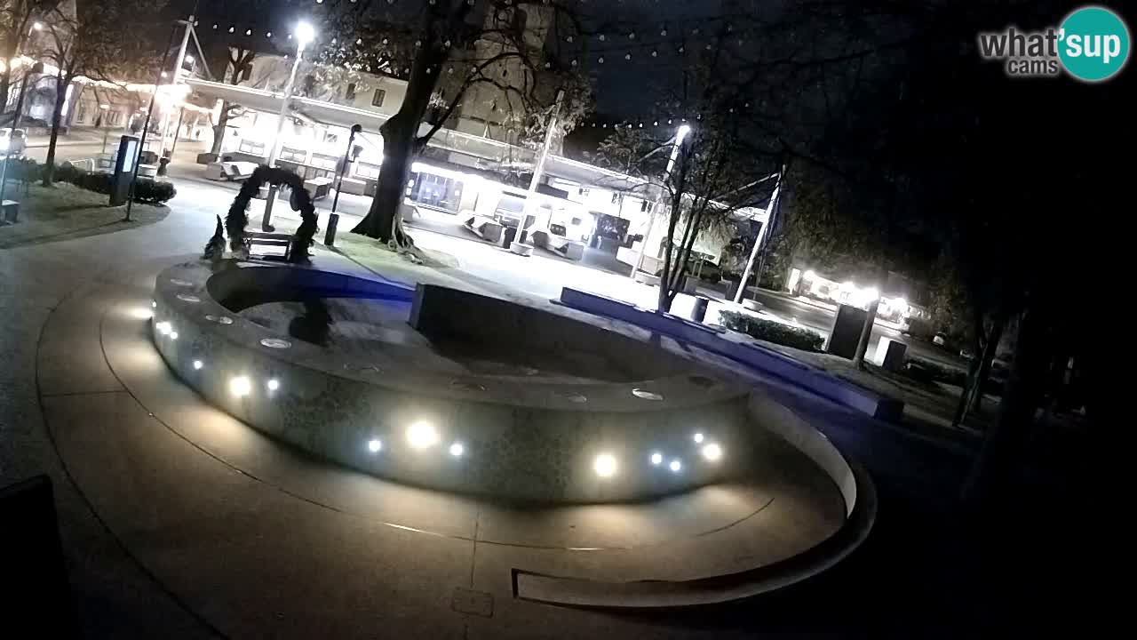 Camera en vivo Fuente de cerveza – Oro verde – Žalec