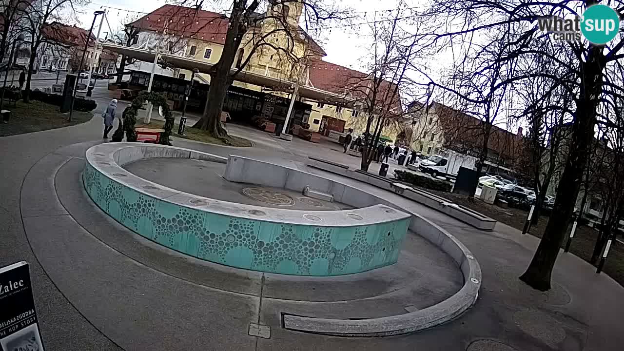 Fontana di birra Webcam – Oro verde – Žalec