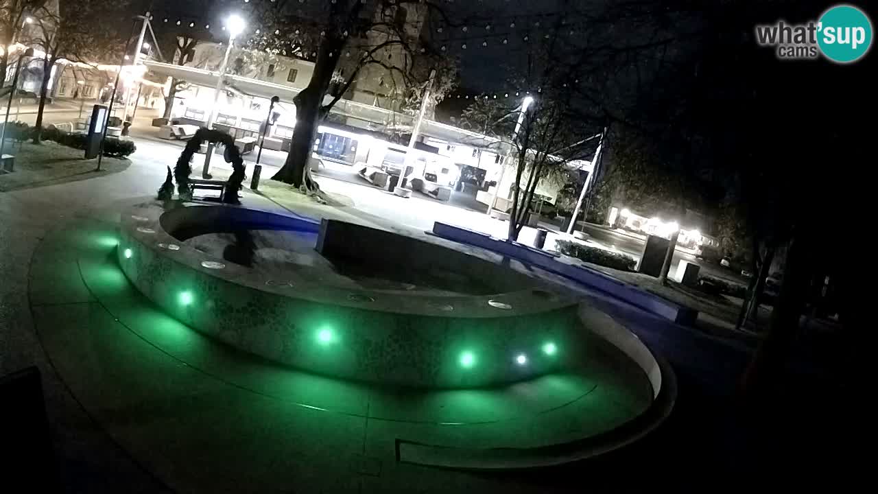 Fontana di birra Webcam – Oro verde – Žalec