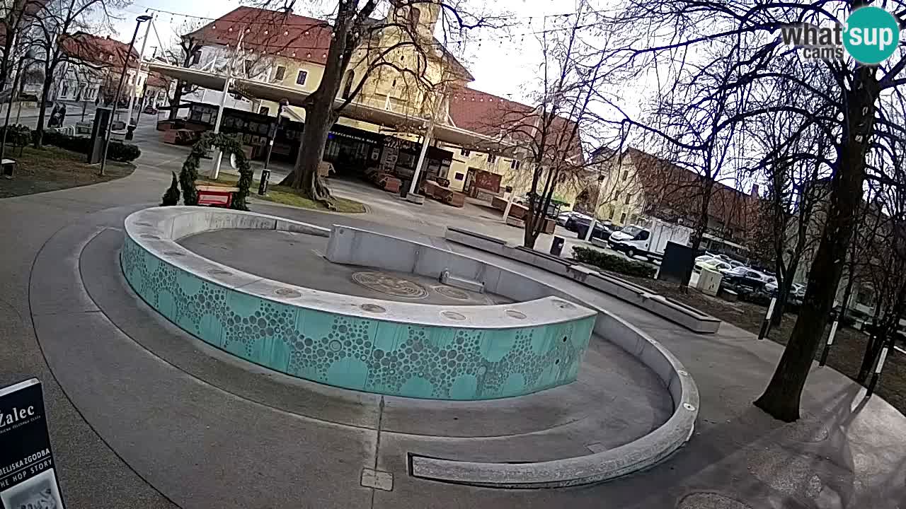 Fontana di birra Webcam – Oro verde – Žalec