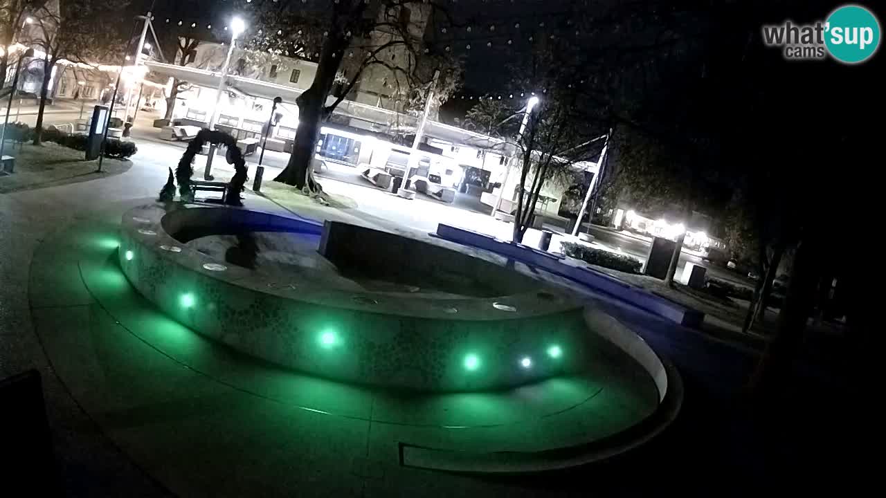 Fontana di birra Webcam – Oro verde – Žalec
