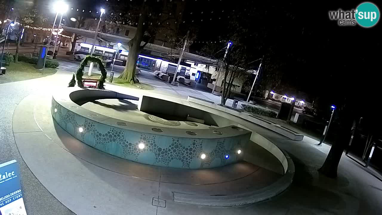 Web kamera Fontana piva – Zeleno zlato – Žalec