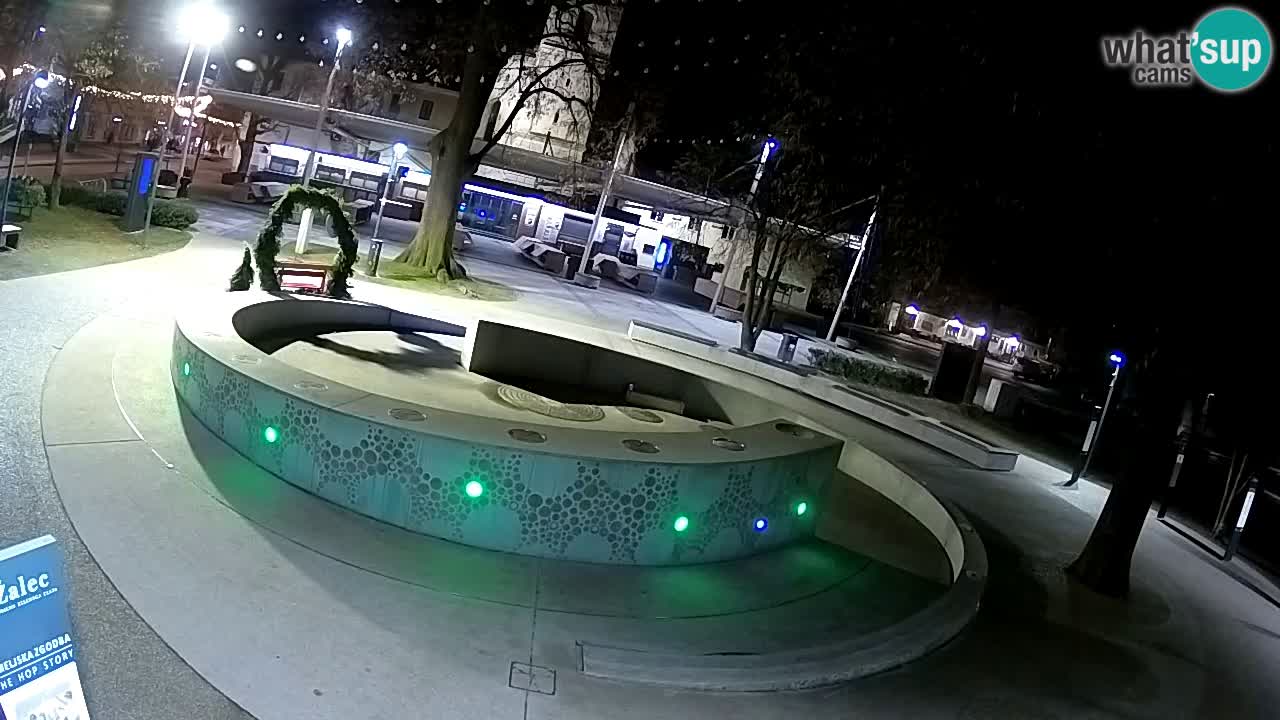 Fontana di birra Webcam – Oro verde – Žalec