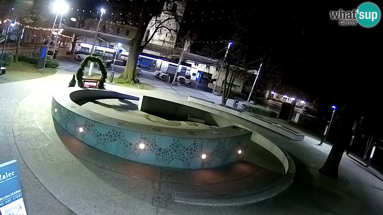 Web kamera Fontana piva – Zeleno zlato – Žalec