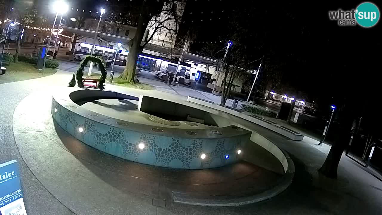 Camera en vivo Fuente de cerveza – Oro verde – Žalec