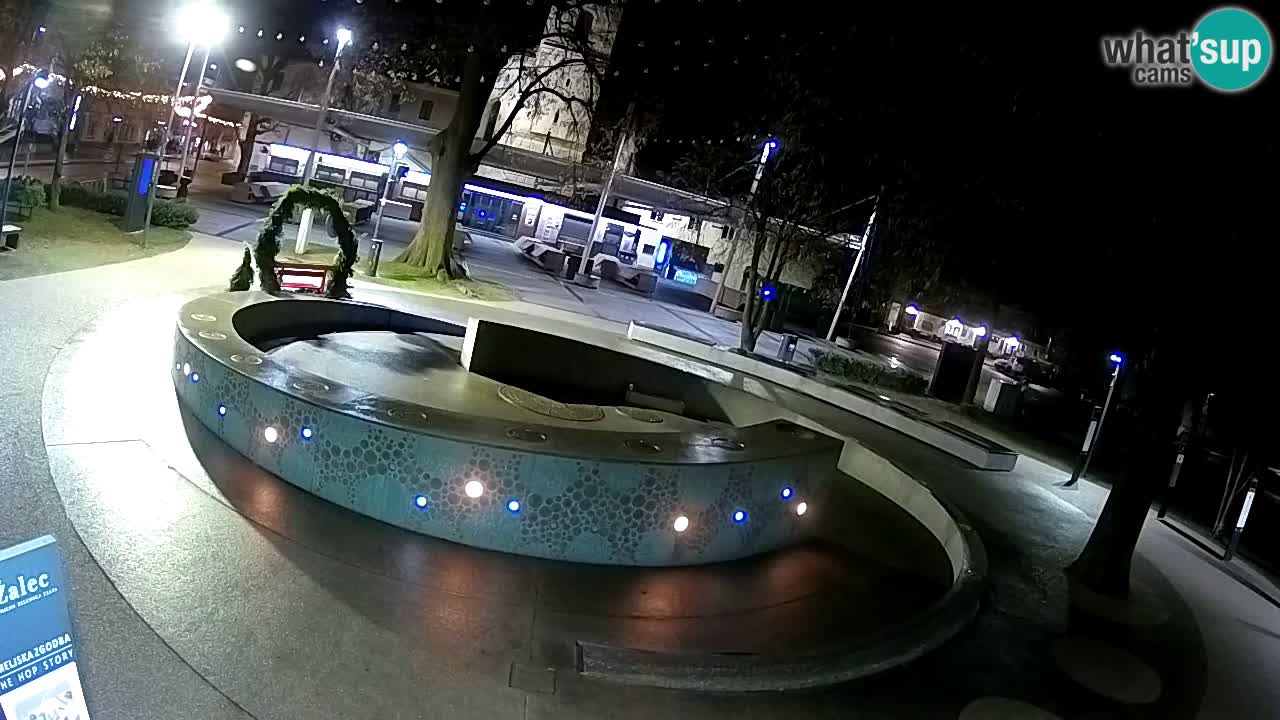 Camera en vivo Fuente de cerveza – Oro verde – Žalec