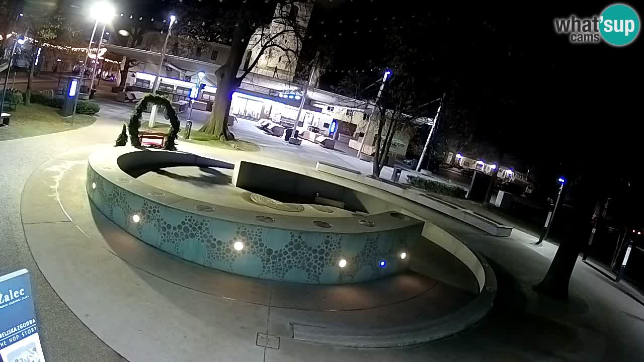 Camera en vivo Fuente de cerveza – Oro verde – Žalec