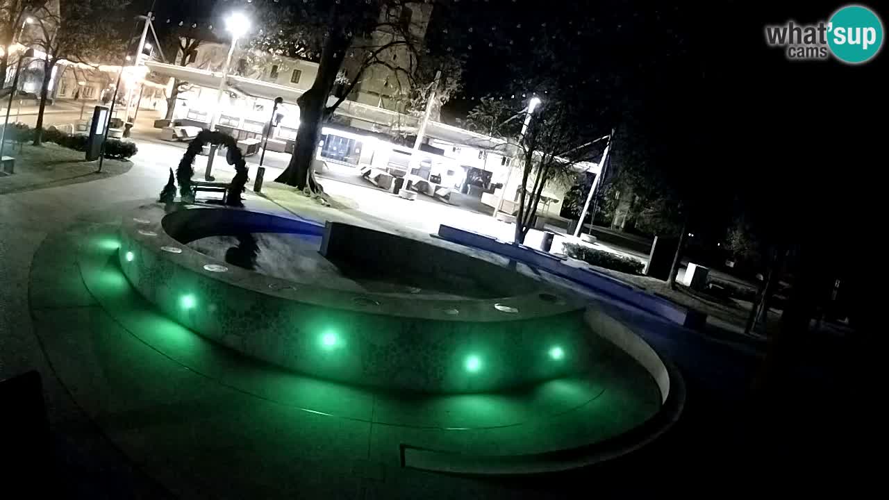 Web kamera Fontana piva – Zeleno zlato – Žalec