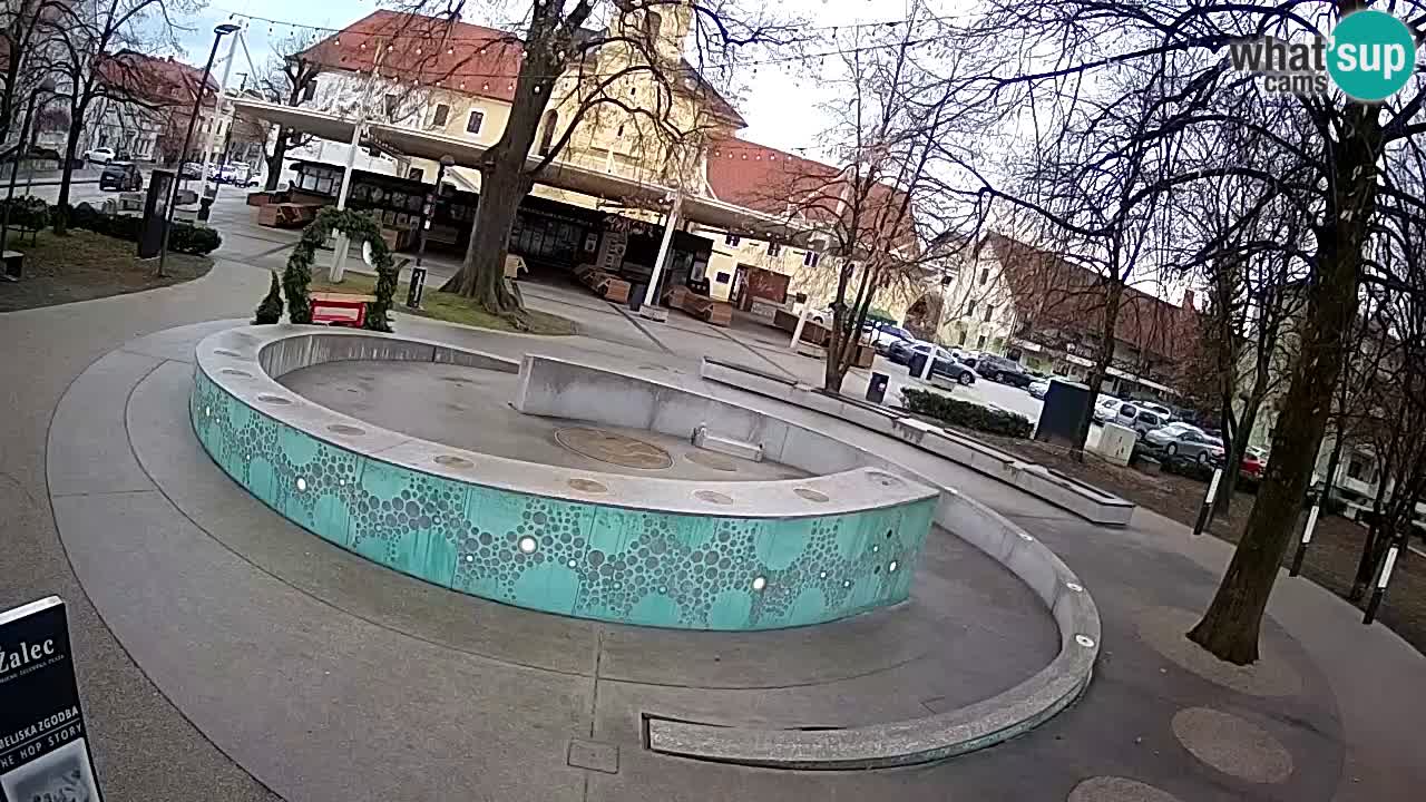 Web kamera Fontana piva – Zeleno zlato – Žalec