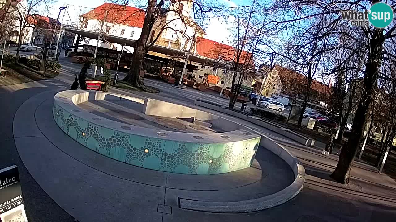 Bier-Springbrunnen Webcam Žalec – Grünen Goldes