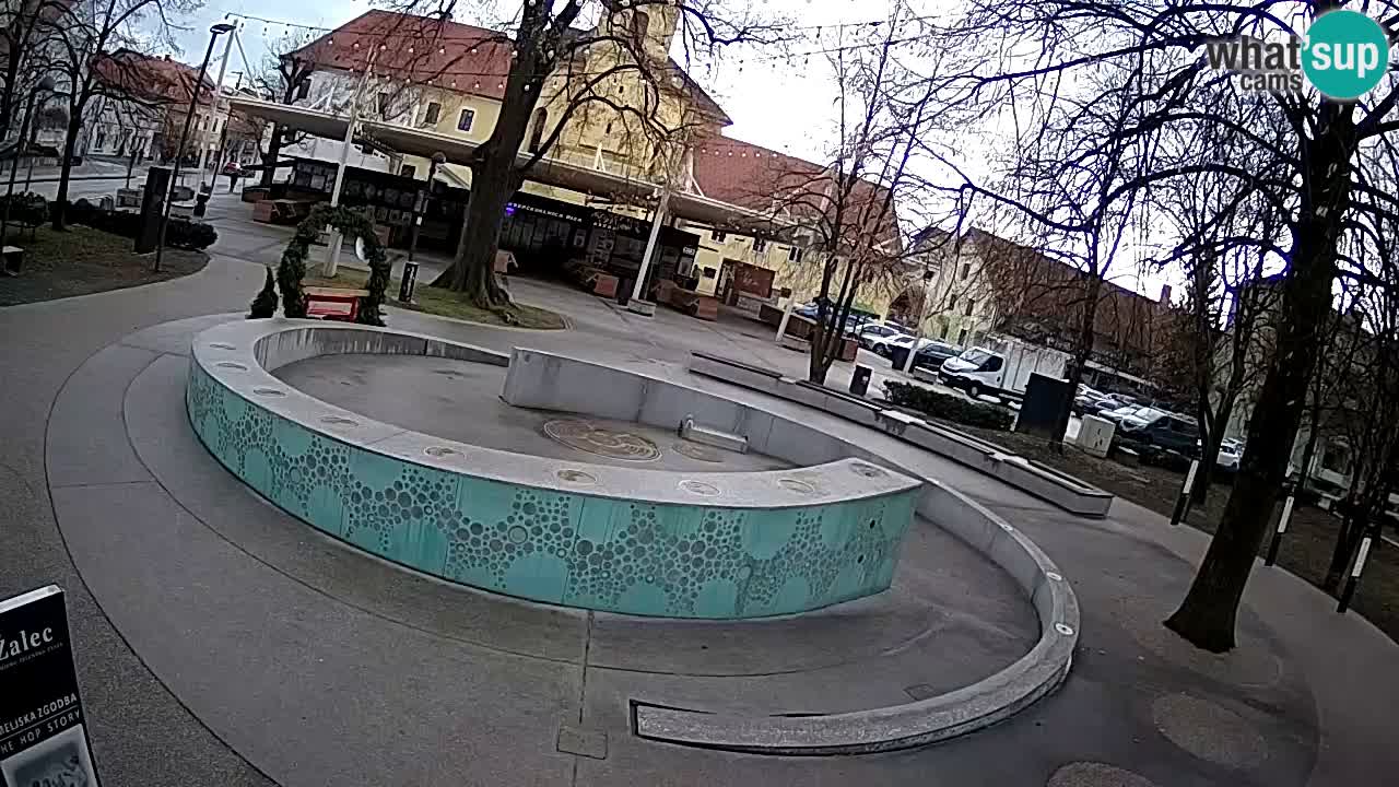 Bier-Springbrunnen Webcam Žalec – Grünen Goldes
