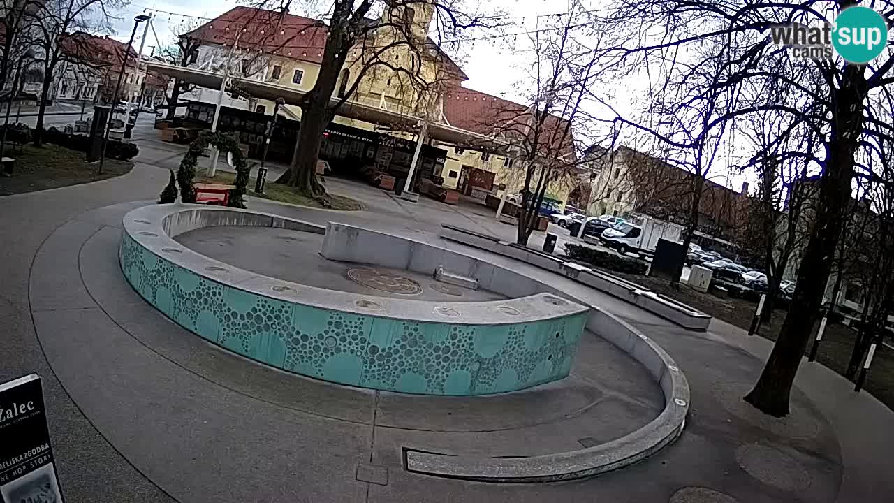 Bier-Springbrunnen Webcam Žalec – Grünen Goldes