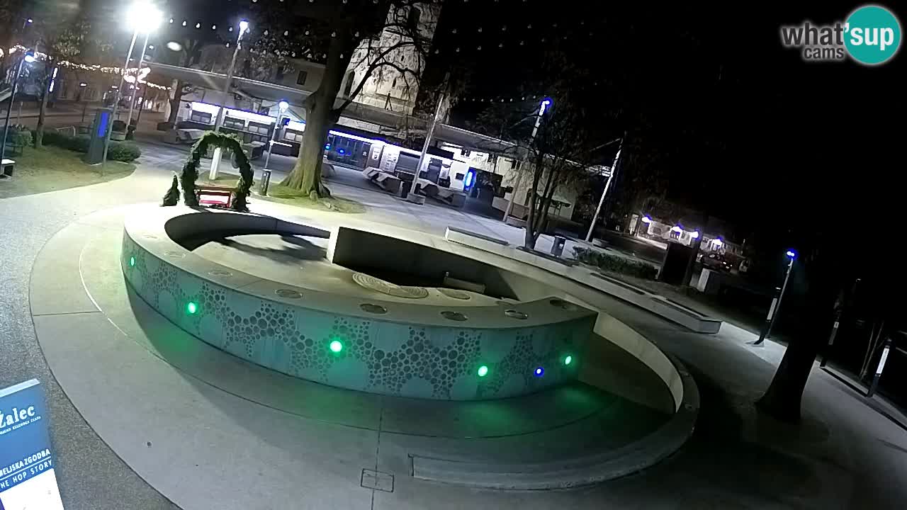 Bier-Springbrunnen Webcam Žalec – Grünen Goldes