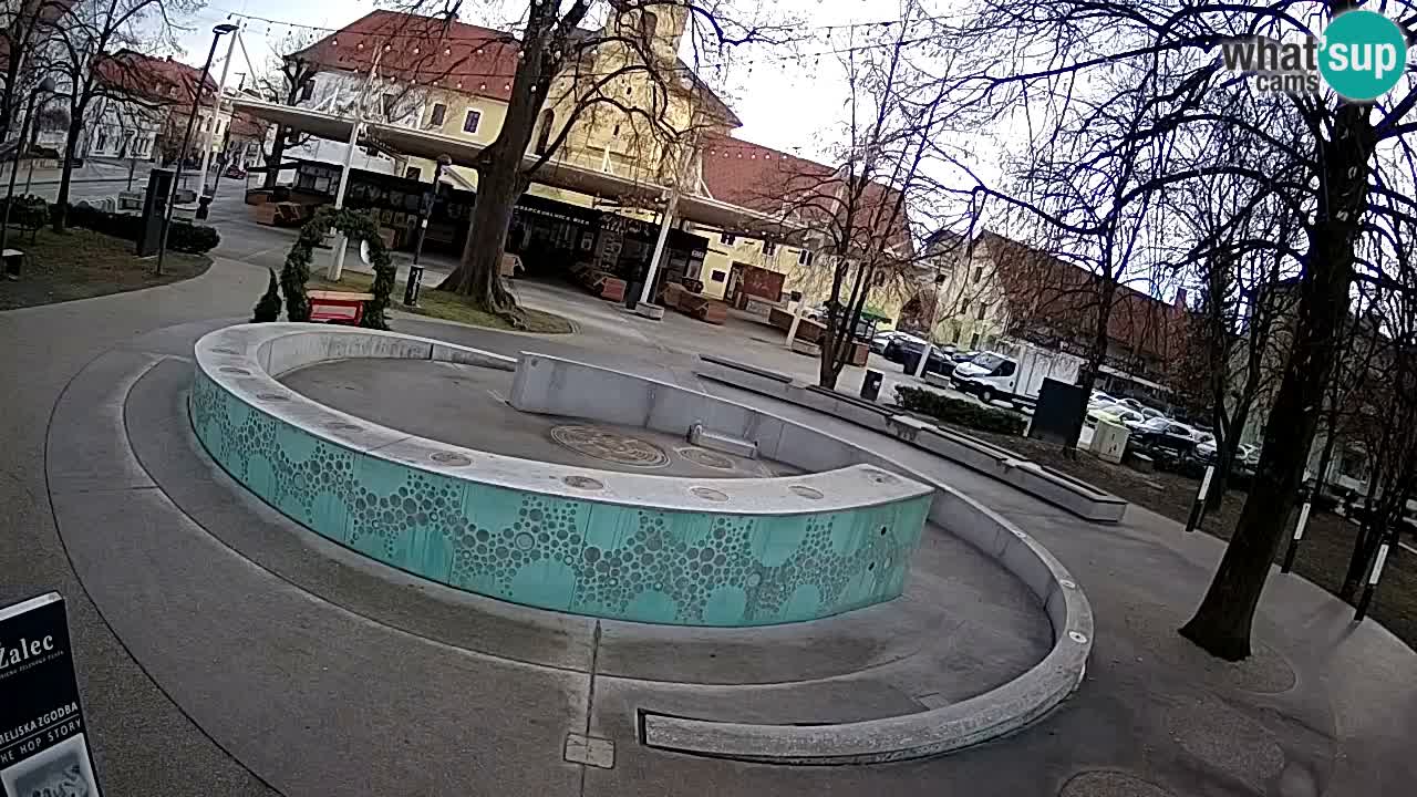 Fontana di birra Webcam – Oro verde – Žalec