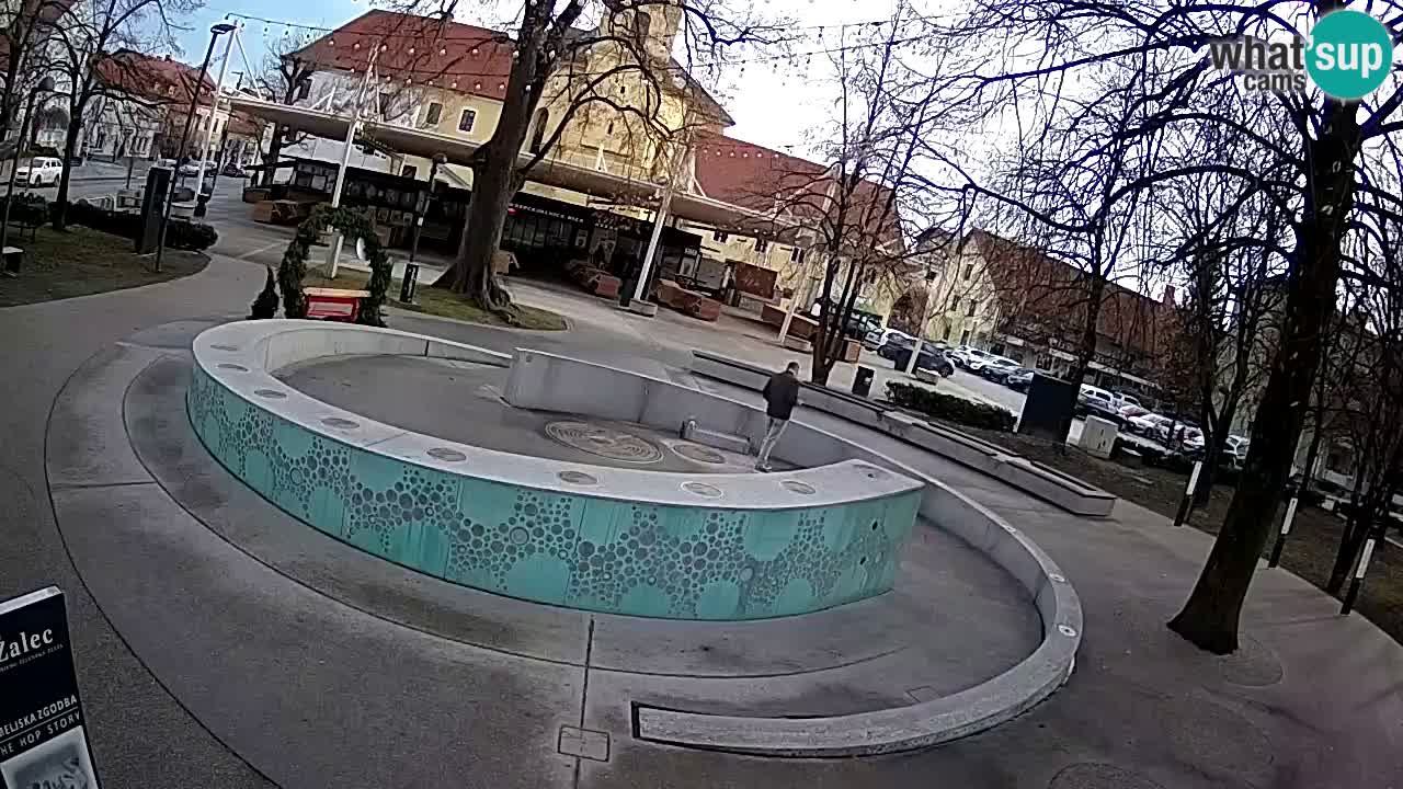 Fontana di birra Webcam – Oro verde – Žalec