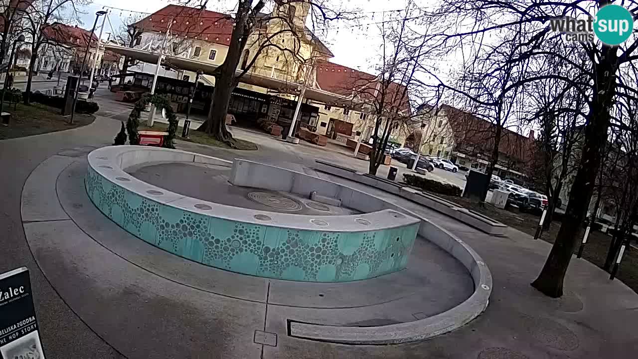 Camera en vivo Fuente de cerveza – Oro verde – Žalec