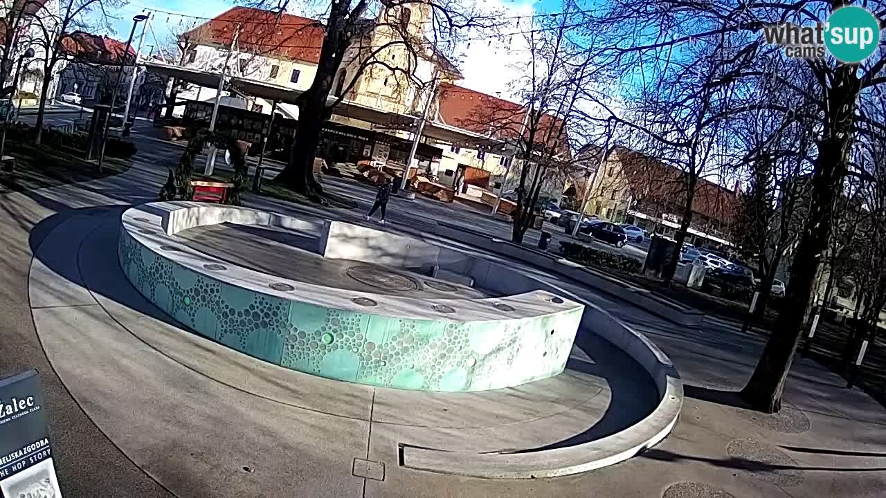 Spletna kamera Fontana Piv – Zeleno zlato Žalec