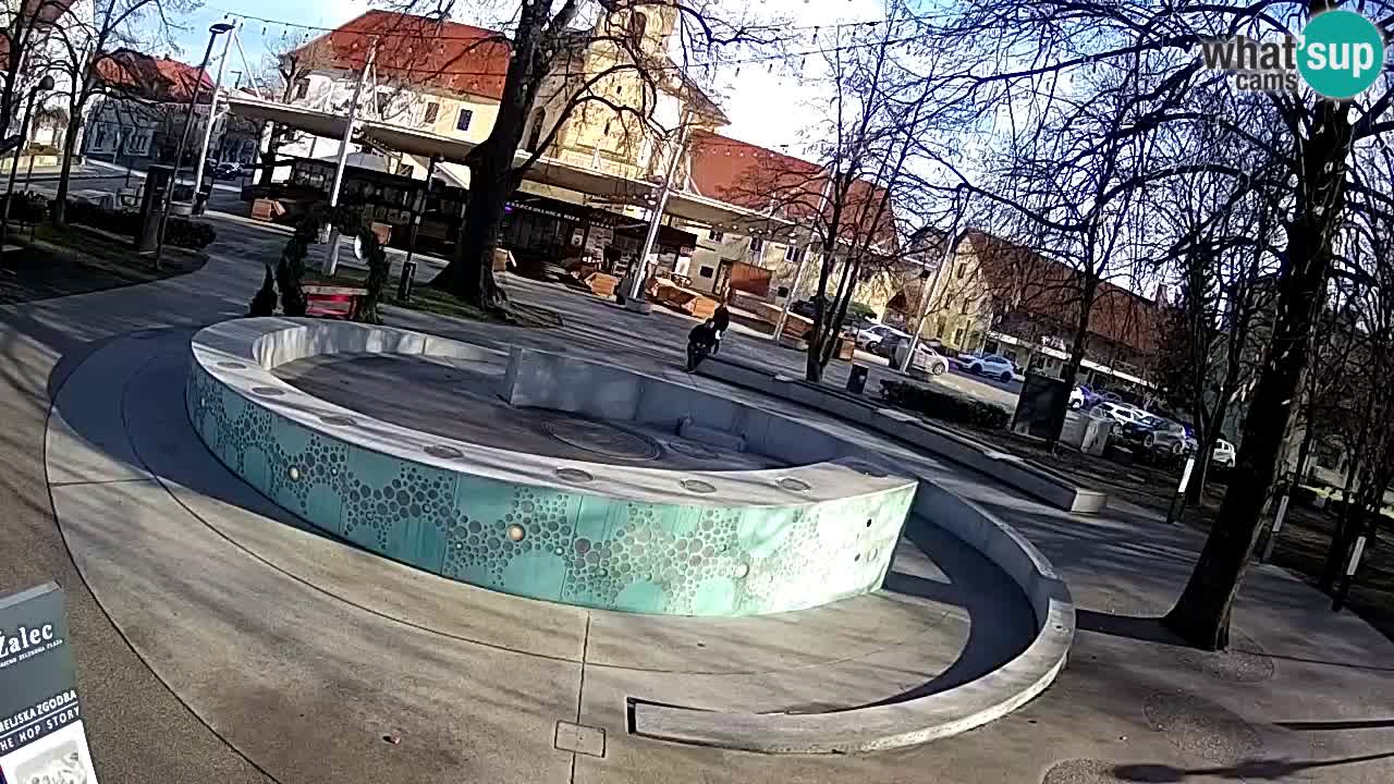 Camera en vivo Fuente de cerveza – Oro verde – Žalec