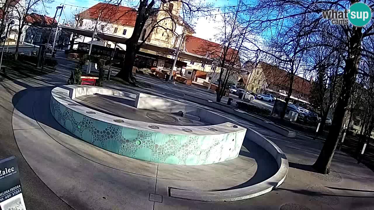 Fontaine à bière LIVE webcam – Or vert – Žalec