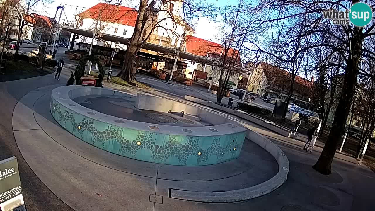 Fontaine à bière LIVE webcam – Or vert – Žalec