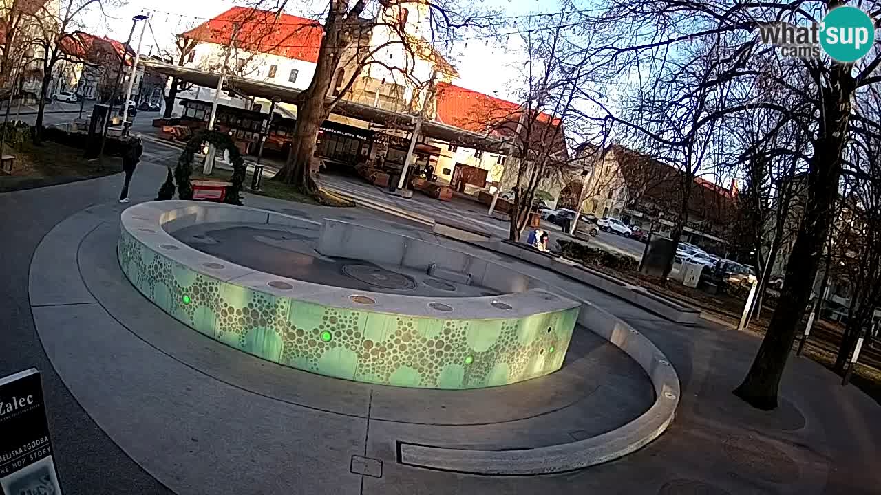 Camera en vivo Fuente de cerveza – Oro verde – Žalec