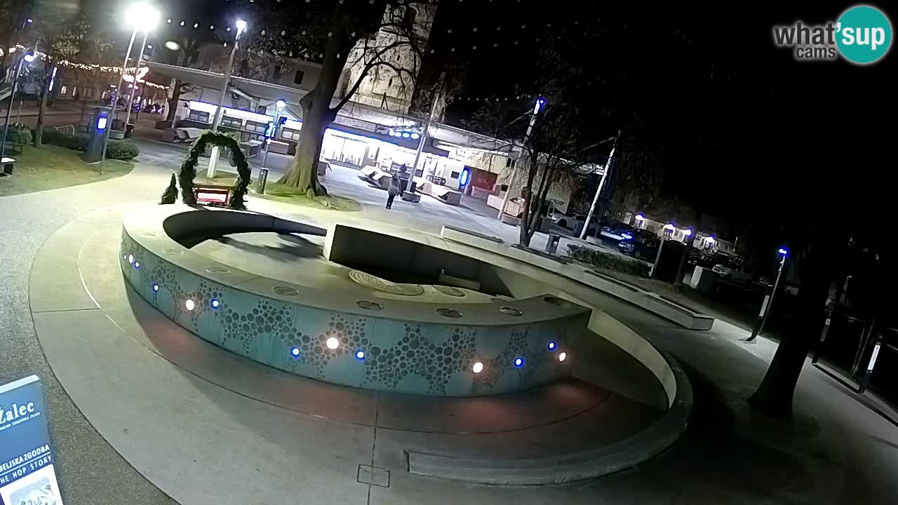 Web kamera Fontana piva – Zeleno zlato – Žalec