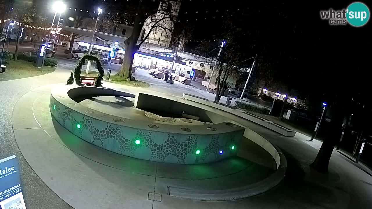 Bier-Springbrunnen Webcam Žalec – Grünen Goldes
