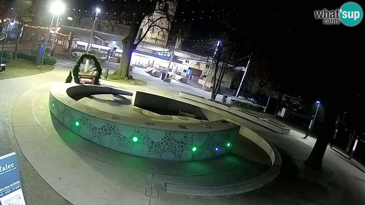 Web kamera Fontana piva – Zeleno zlato – Žalec