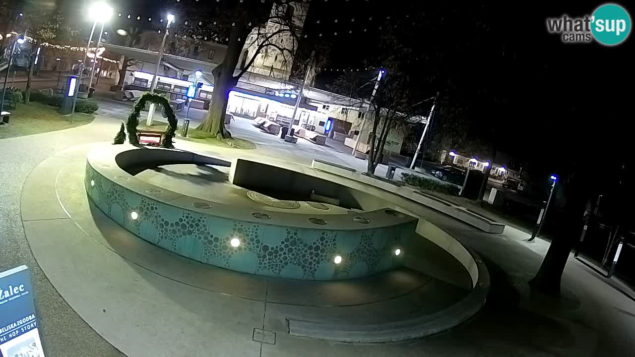 Bier-Springbrunnen Webcam Žalec – Grünen Goldes