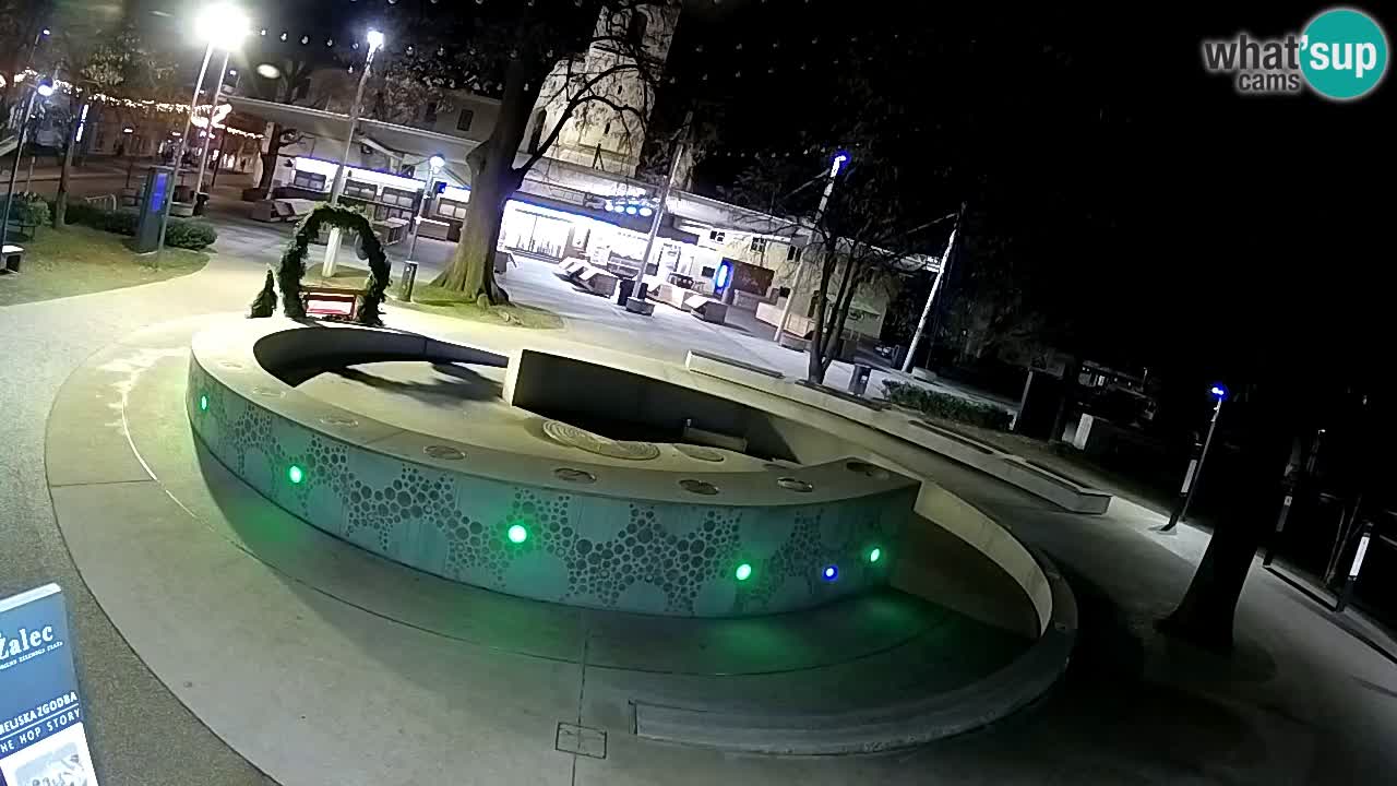 Bier-Springbrunnen Webcam Žalec – Grünen Goldes