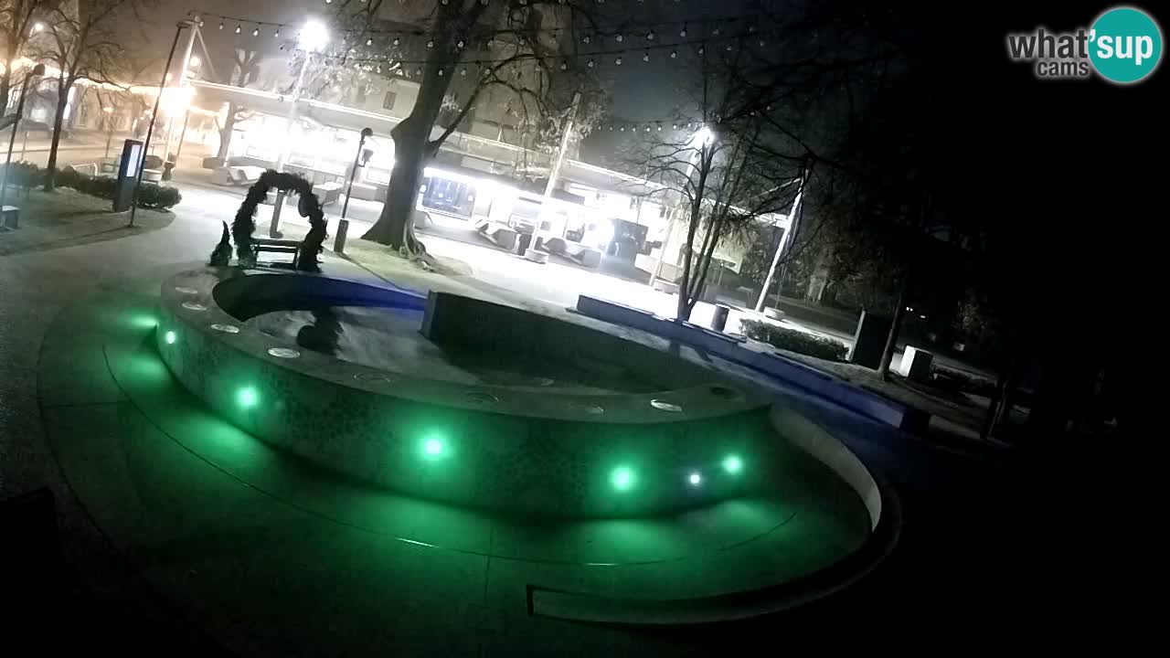 Fontaine à bière LIVE webcam – Or vert – Žalec