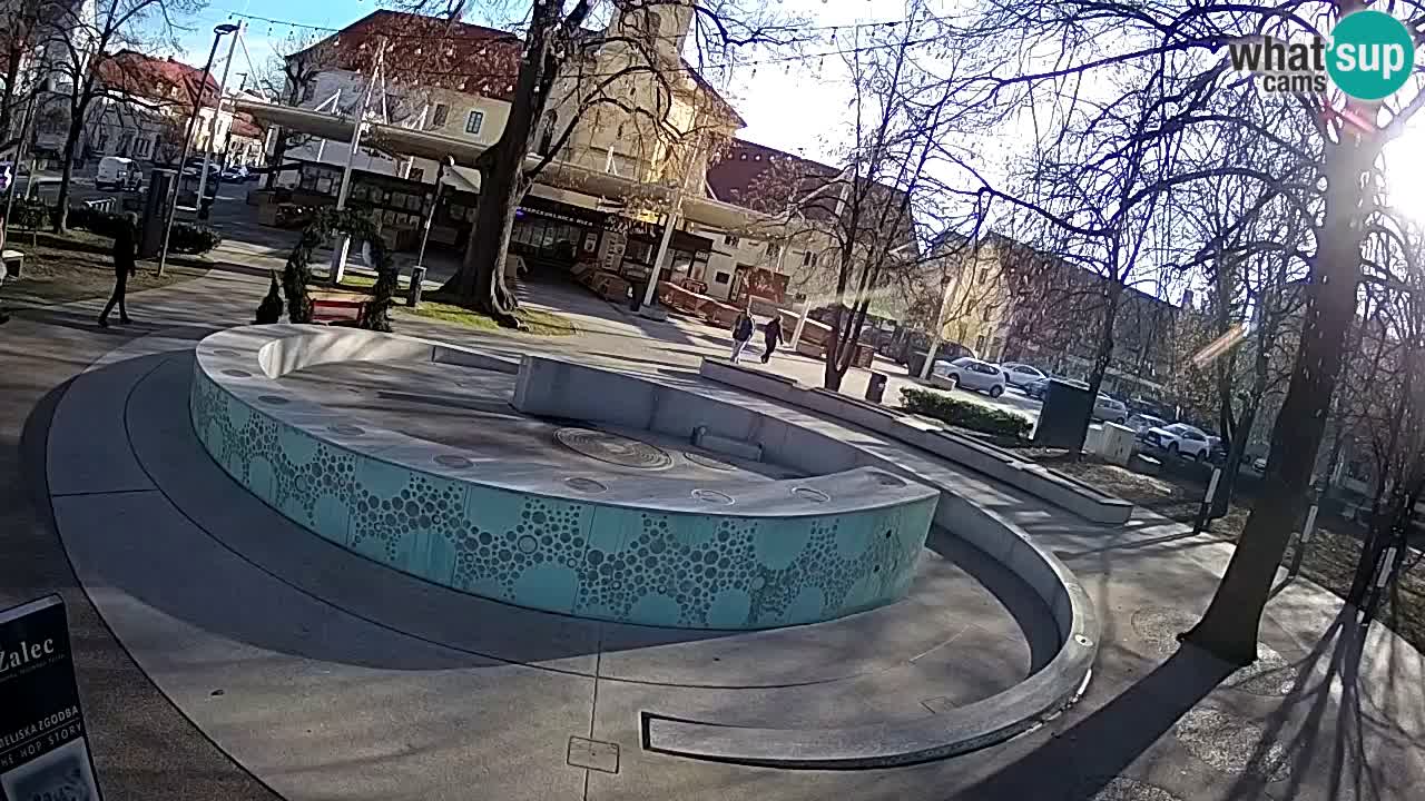 Web kamera Fontana piva – Zeleno zlato – Žalec