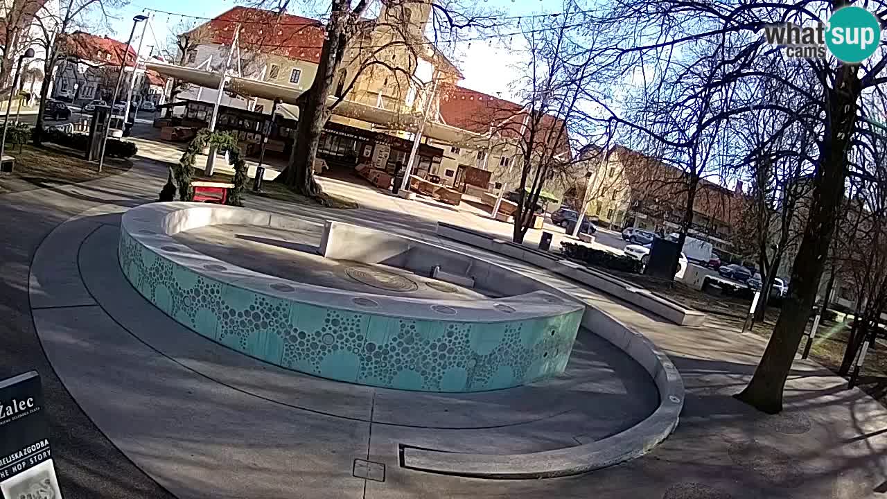 Fontana di birra Webcam – Oro verde – Žalec