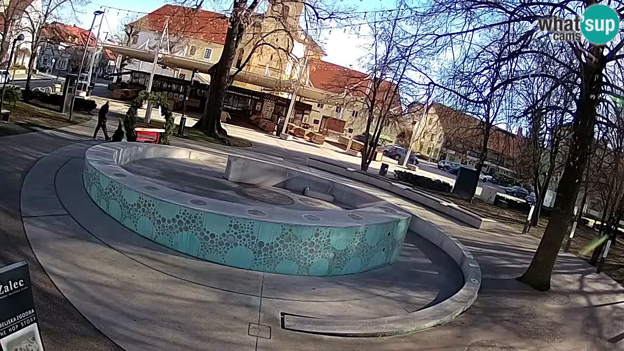 Fontana di birra Webcam – Oro verde – Žalec