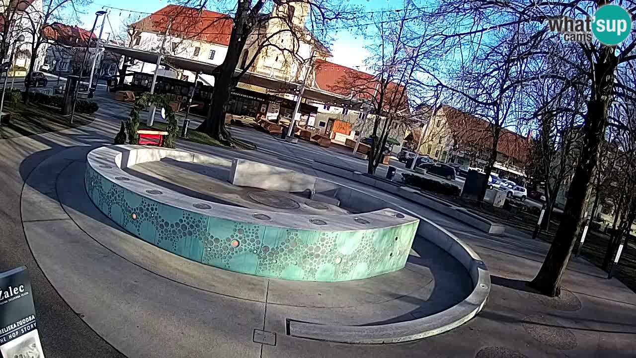 Web kamera Fontana piva – Zeleno zlato – Žalec