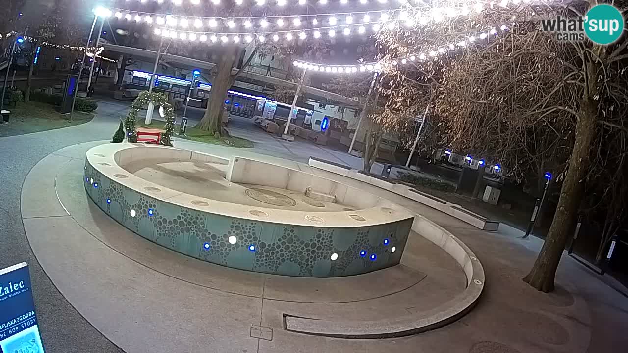Fontana di birra Webcam – Oro verde – Žalec