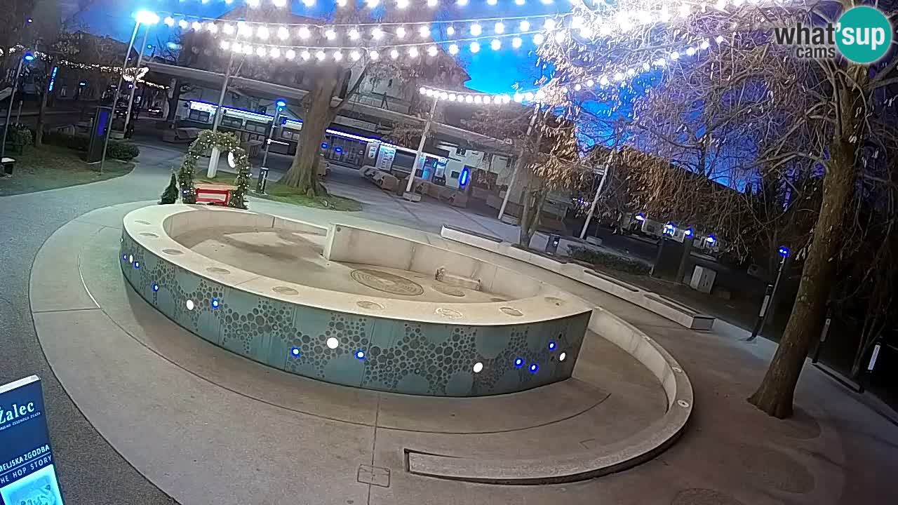 Fontaine à bière LIVE webcam – Or vert – Žalec