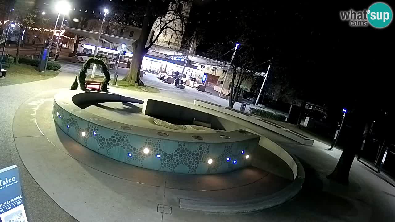 Bier-Springbrunnen Webcam Žalec – Grünen Goldes