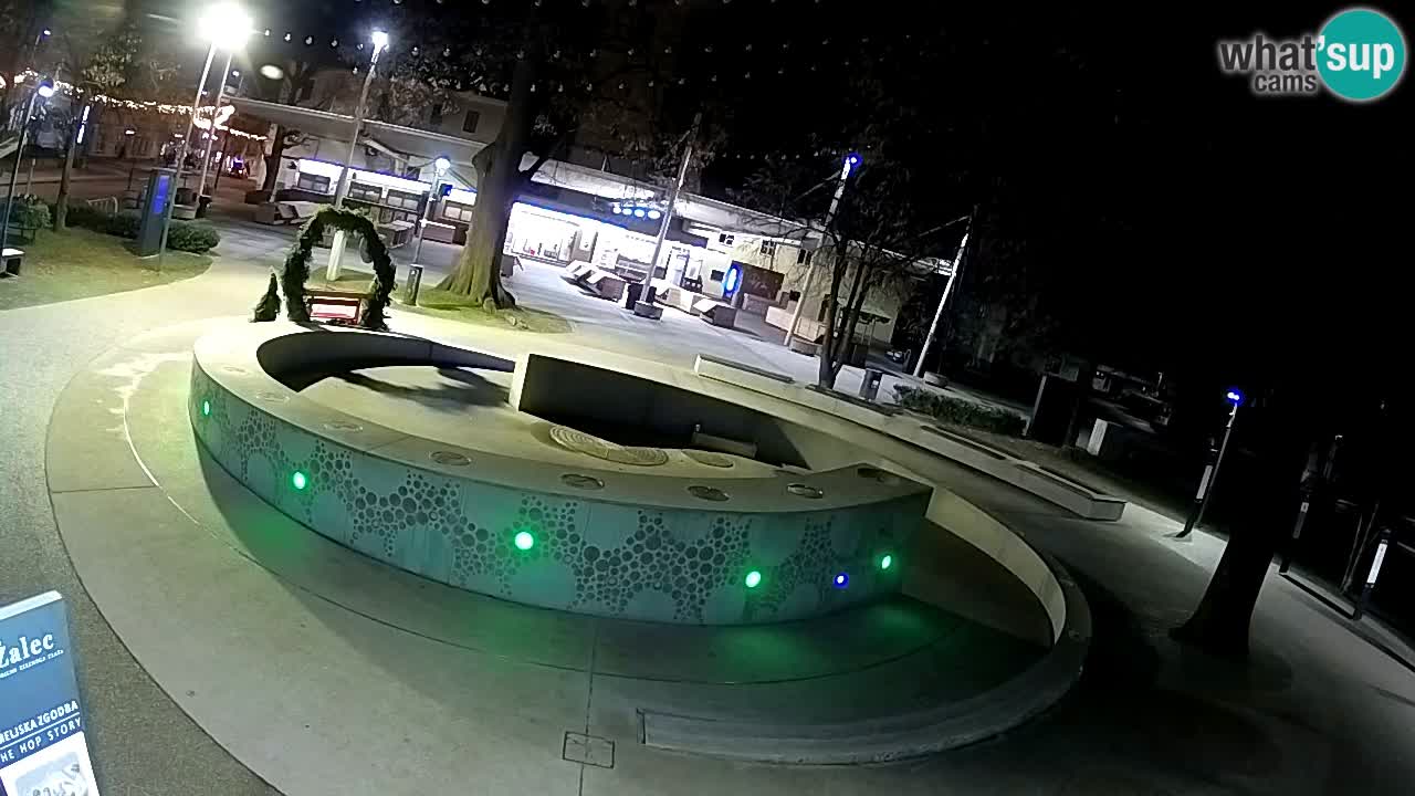 Camera en vivo Fuente de cerveza – Oro verde – Žalec