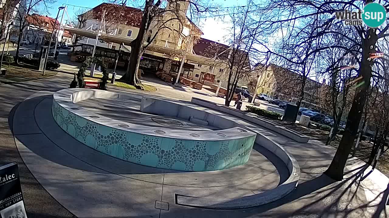 Bier-Springbrunnen Webcam Žalec – Grünen Goldes