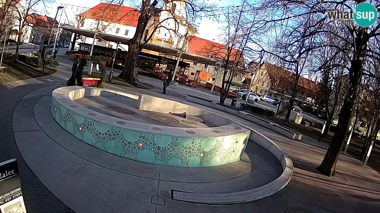 Web kamera Fontana piva – Zeleno zlato – Žalec