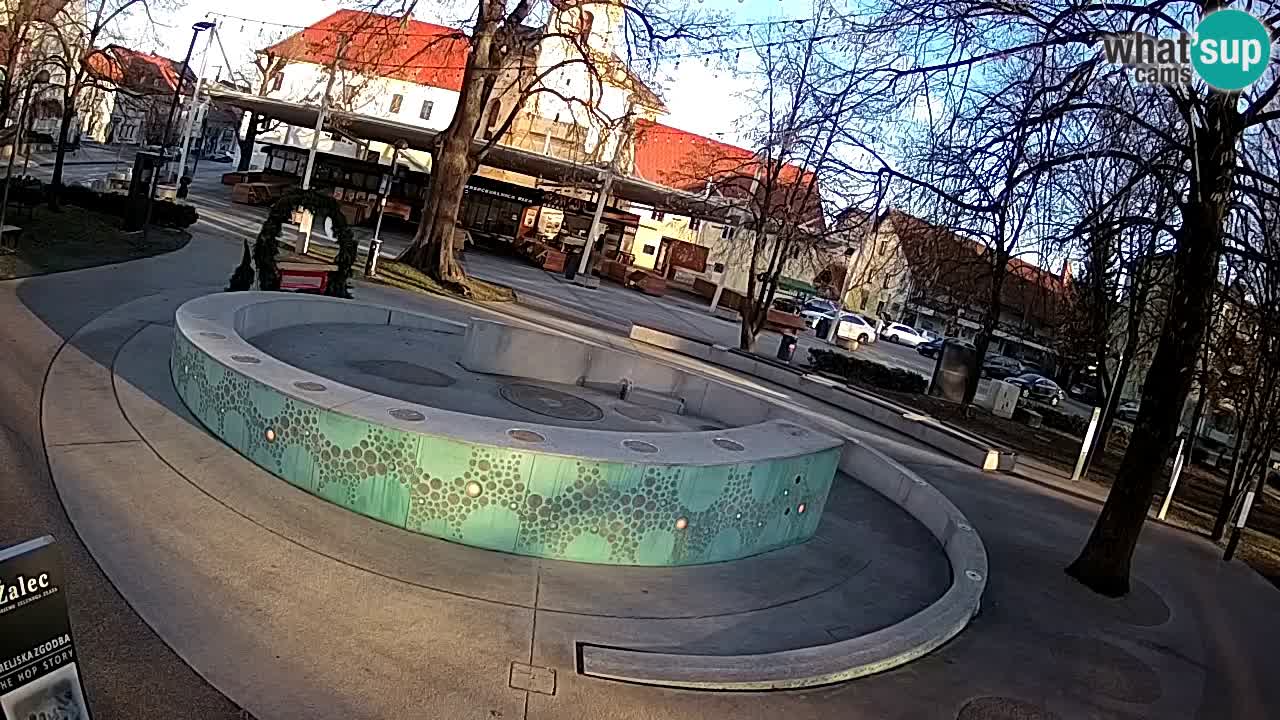 Web kamera Fontana piva – Zeleno zlato – Žalec