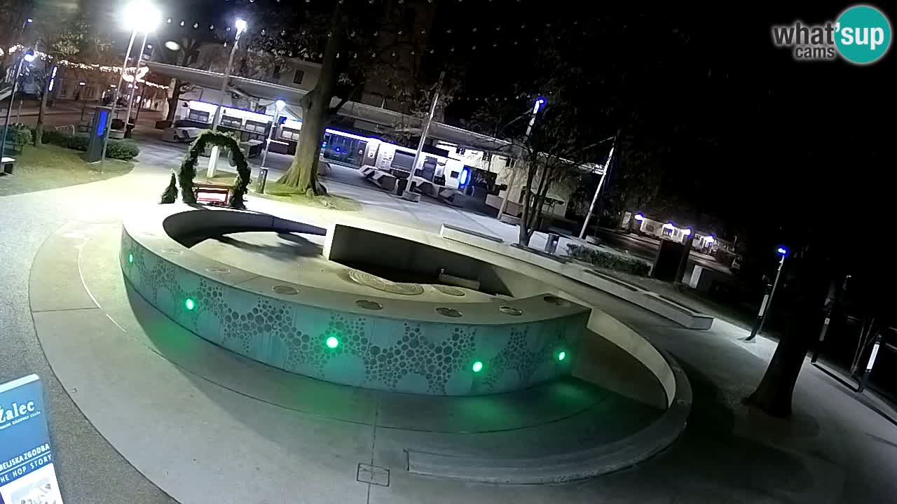 Web kamera Fontana piva – Zeleno zlato – Žalec