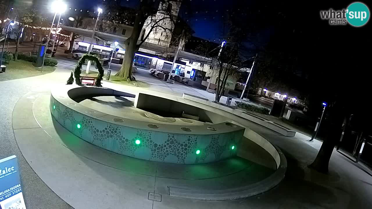 Web kamera Fontana piva – Zeleno zlato – Žalec