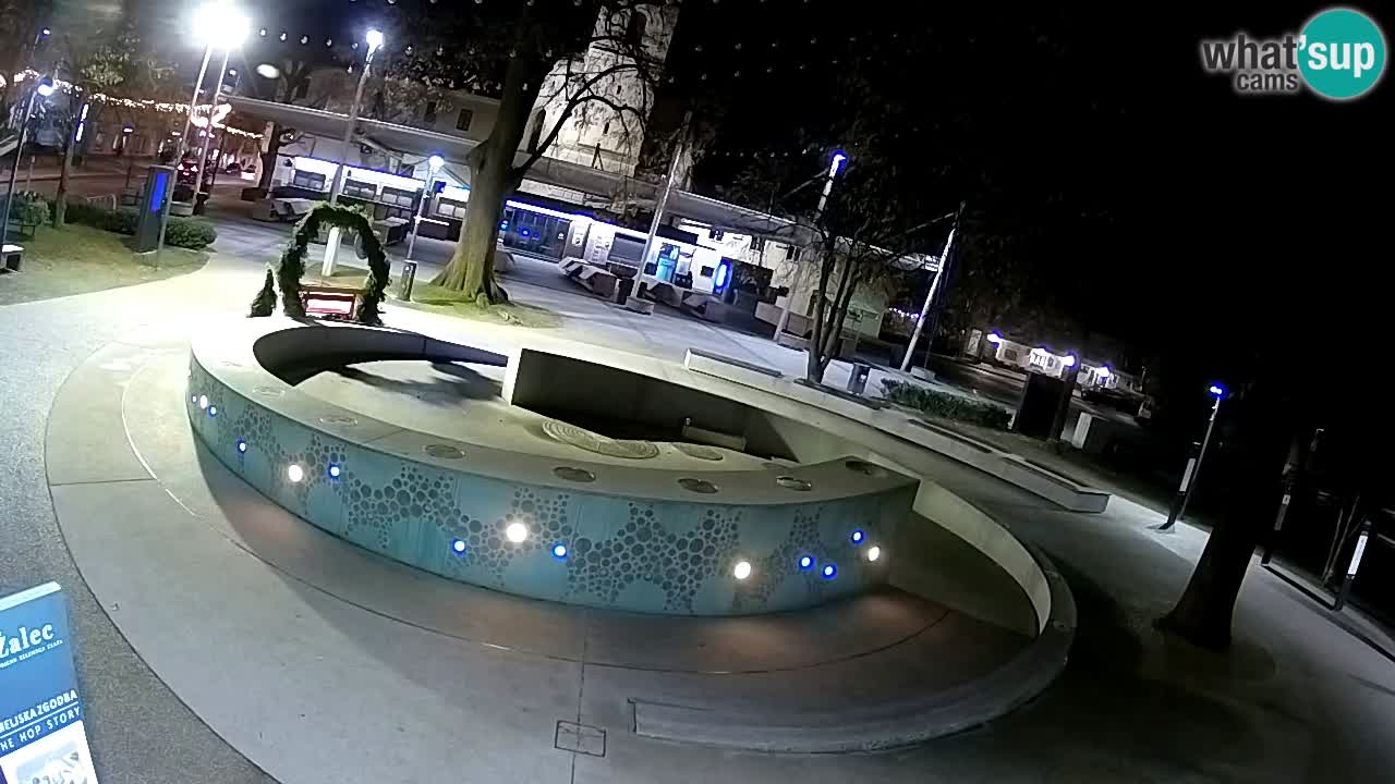 Fontana di birra Webcam – Oro verde – Žalec
