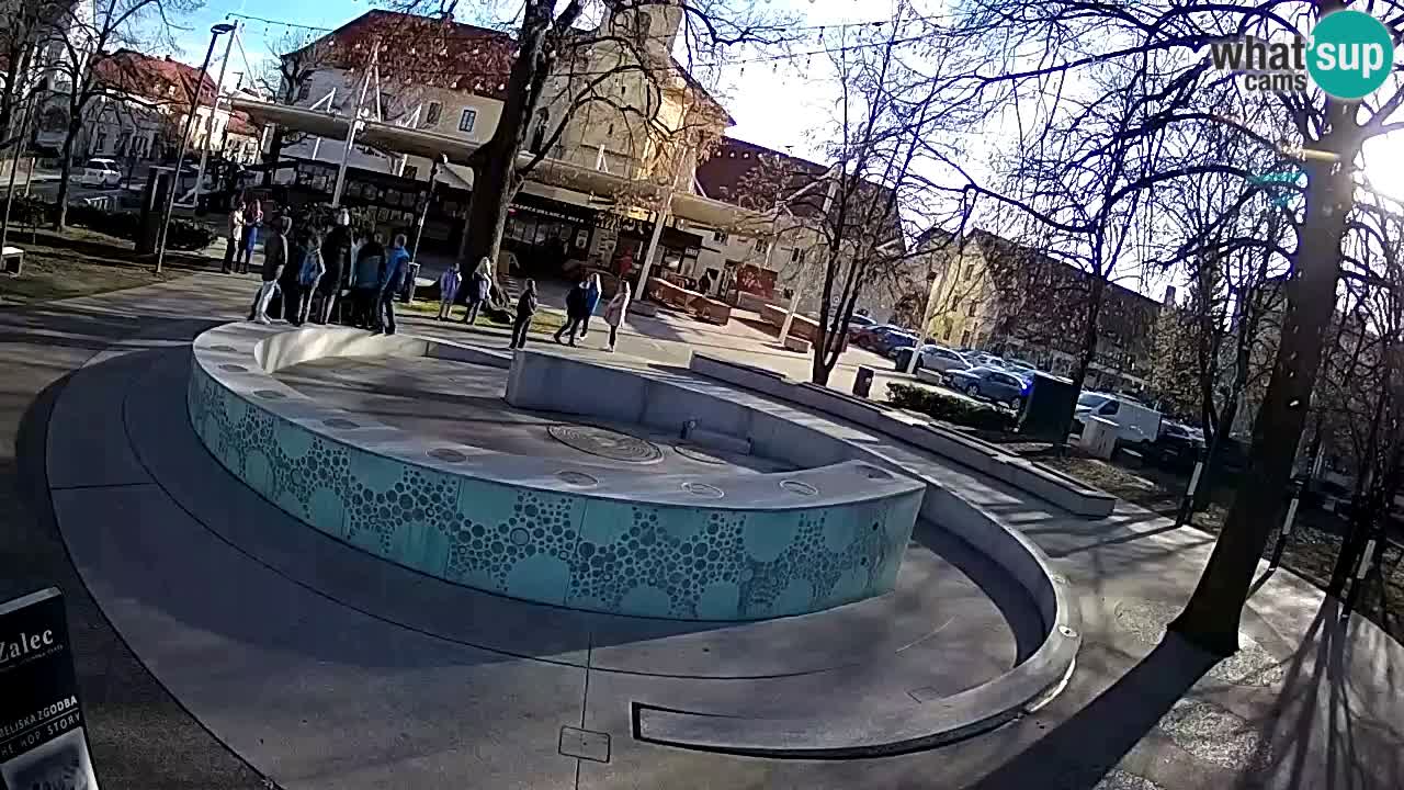 Fontaine à bière LIVE webcam – Or vert – Žalec