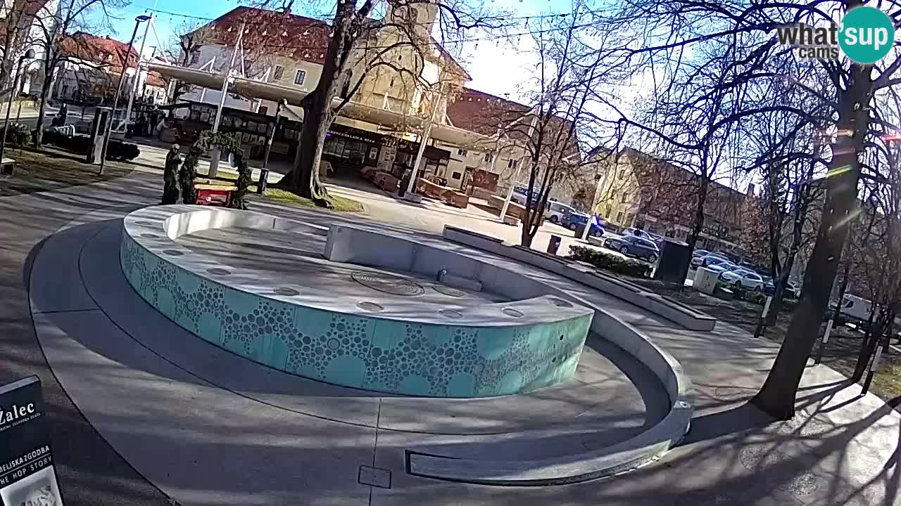 Camera en vivo Fuente de cerveza – Oro verde – Žalec